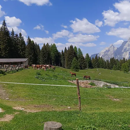 Bauernhof Stanza Malga Ciauta