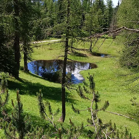 Bauernhof Stanza Malga Ciauta